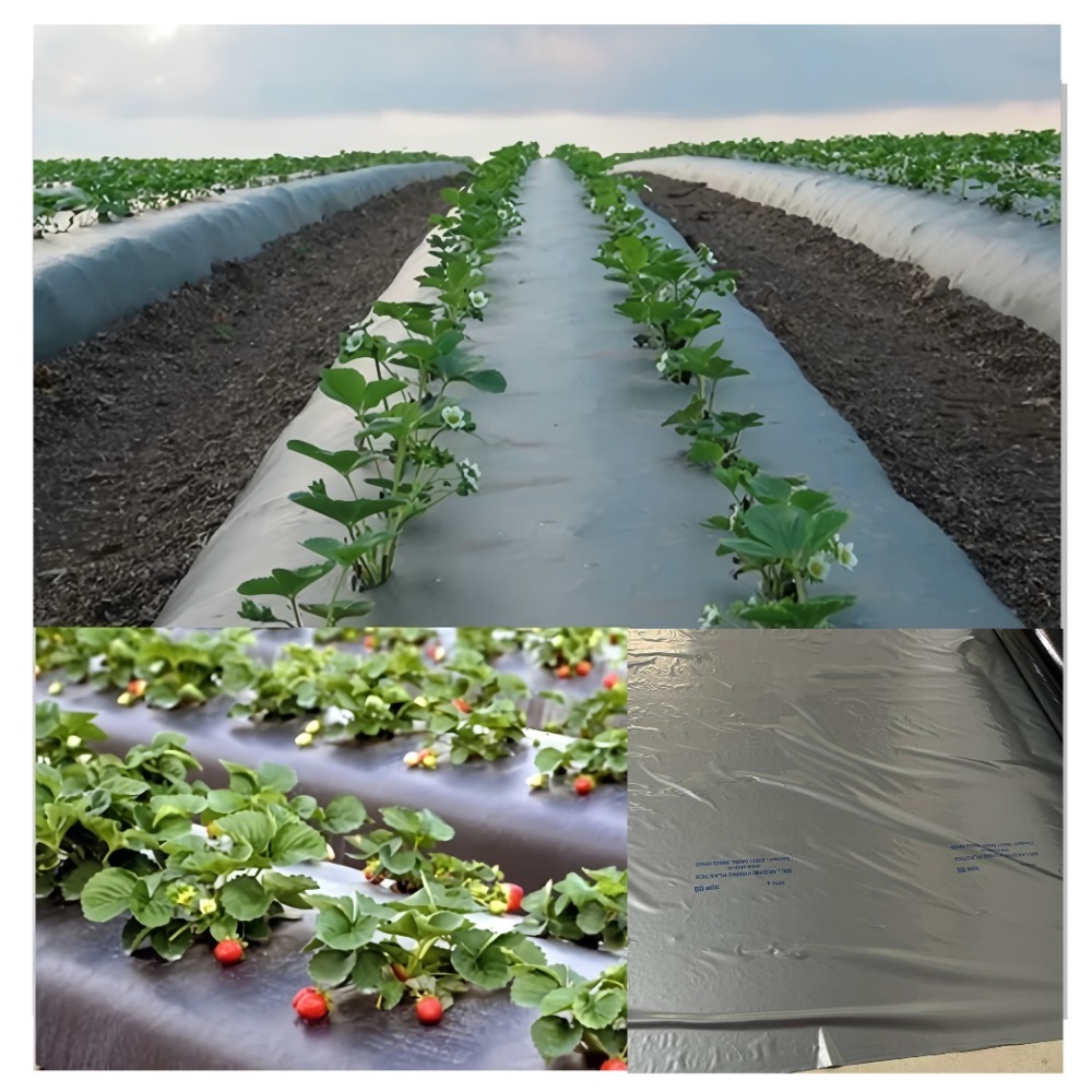 30 Micron Mulch Film - Color: Black