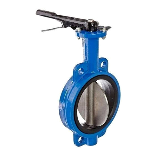Cast Iron Body Ss Disc Butterfly Valve - Color: Blue