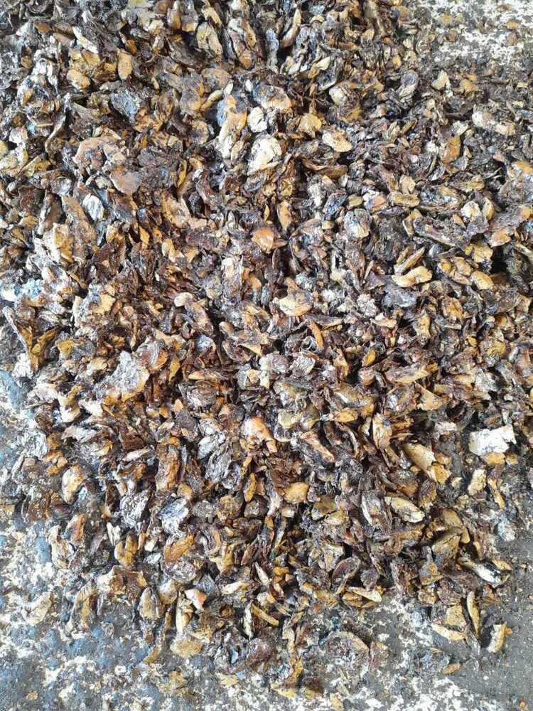 Cashew Nut Shell Cake - Color: Brown