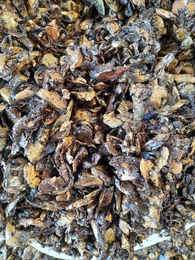 Cashew Nut Shell Cake - Color: Brown