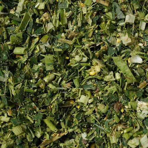 Animal Corn Silage - Fresh Green Corn, Food-Grade Quality | Promotes Healthy Growth, Easy to Digest, Suitable for All Cattle Types
