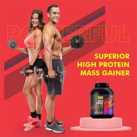 Mass Gainer 1:5