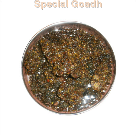विशेष गोढ़