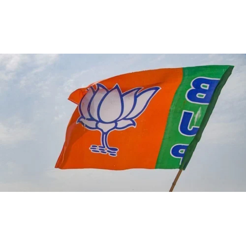 Election Promotional Flag - Printed Fabric, Various Sizes Available, Custom Color Options, Flying Style for Maximum Visibility