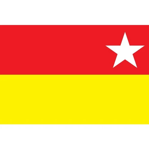 Political Party Printed Election Campaigning Flag