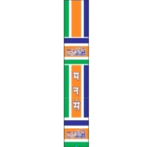 Election Party Muffler