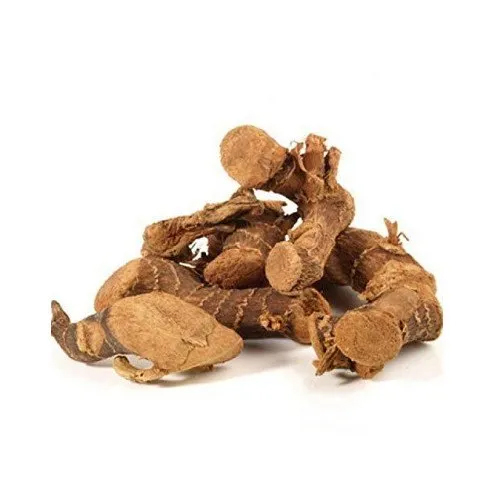 Khulanjan Extract Alpinia Galanga Extract