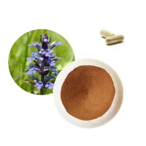 Ajuga Turkestanica Extract