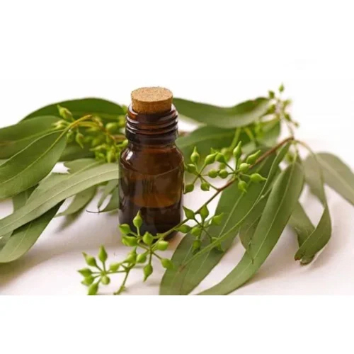 Eucalyptus Essential Oil - Age Group: Adults