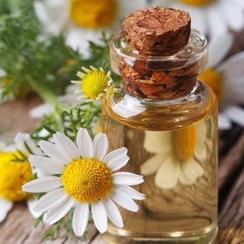 Chamomile Essential Oil - Age Group: Adults