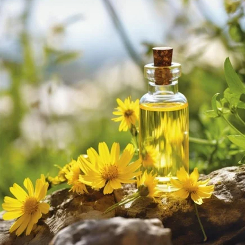 Arnica Seed Oil - Purity: 100% Pure