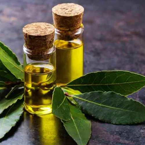 Laurel Leaf Essential Oil - Age Group: Adults