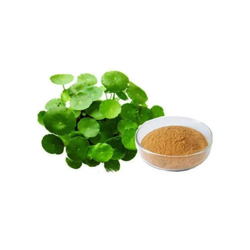 Bacopa Monnieri Powder - Direction: As Suggested