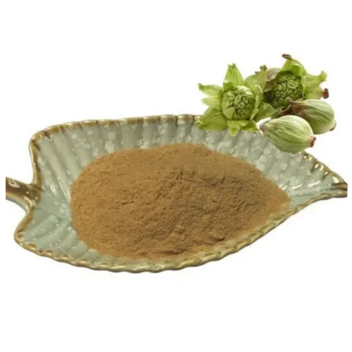 Purple Butterbur Root Extract - Color: Brown