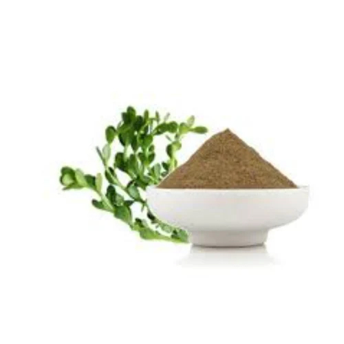 Rasna Extract Powder
