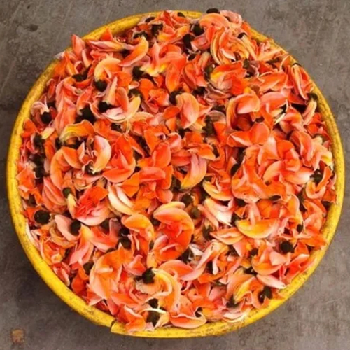 Plash Phool Extract