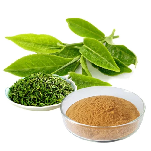 Java Tea Extract