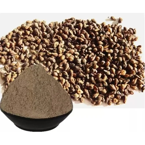 Shivlingi Beej Powder