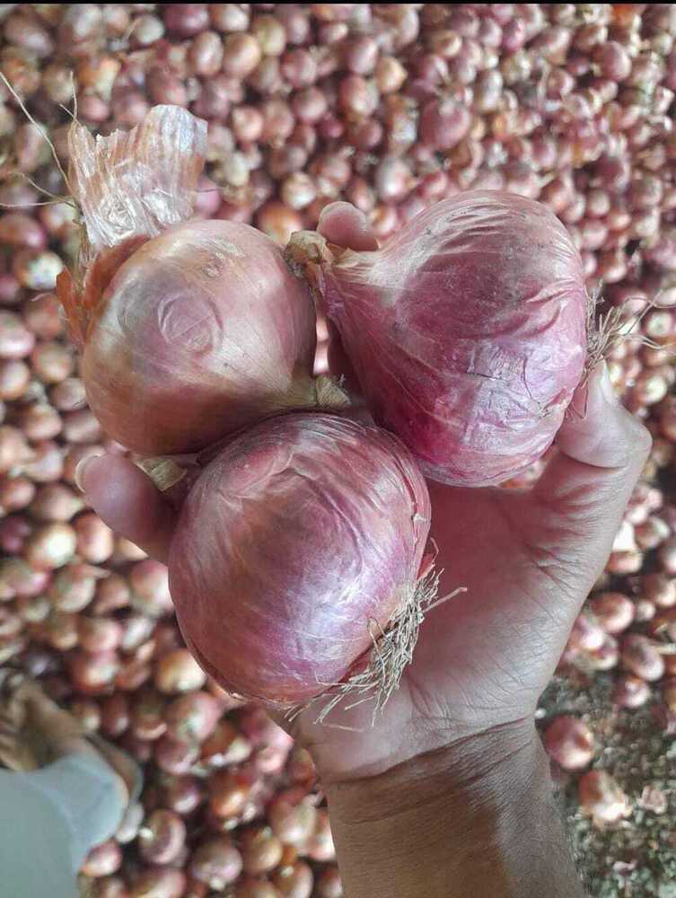 Red Onion