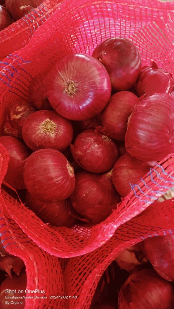 Red Onion