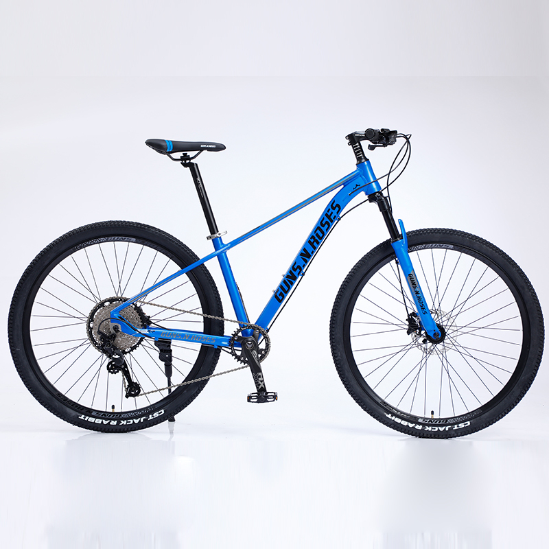 062 Mountain Bike