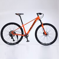 062 Mountain Bike