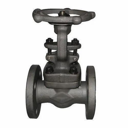 FCS Gate Valve