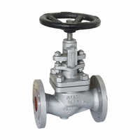 Globe Valve
