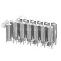 1250 KG 2-50BBL  Fermentation Tank