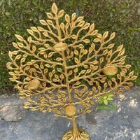 Aakrati Desirable Tree Showcase with Tea Lights for Home Hotel Living Room Decor Made of Brass