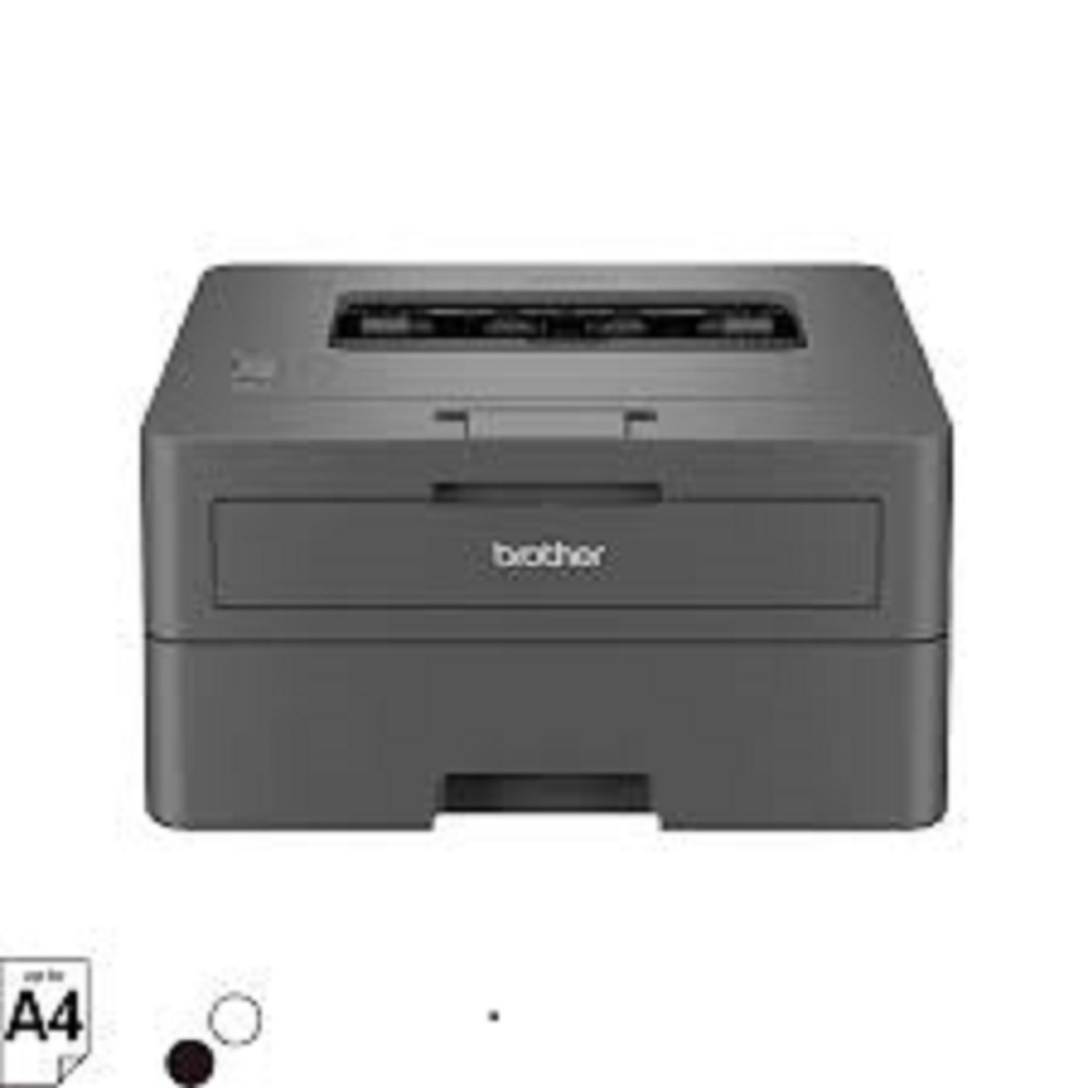 Brother Hl-l2460dw