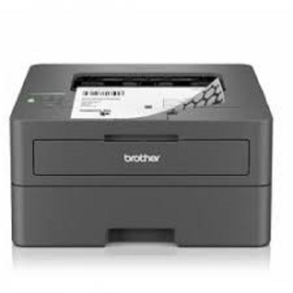 Brother Hl-l2460dw