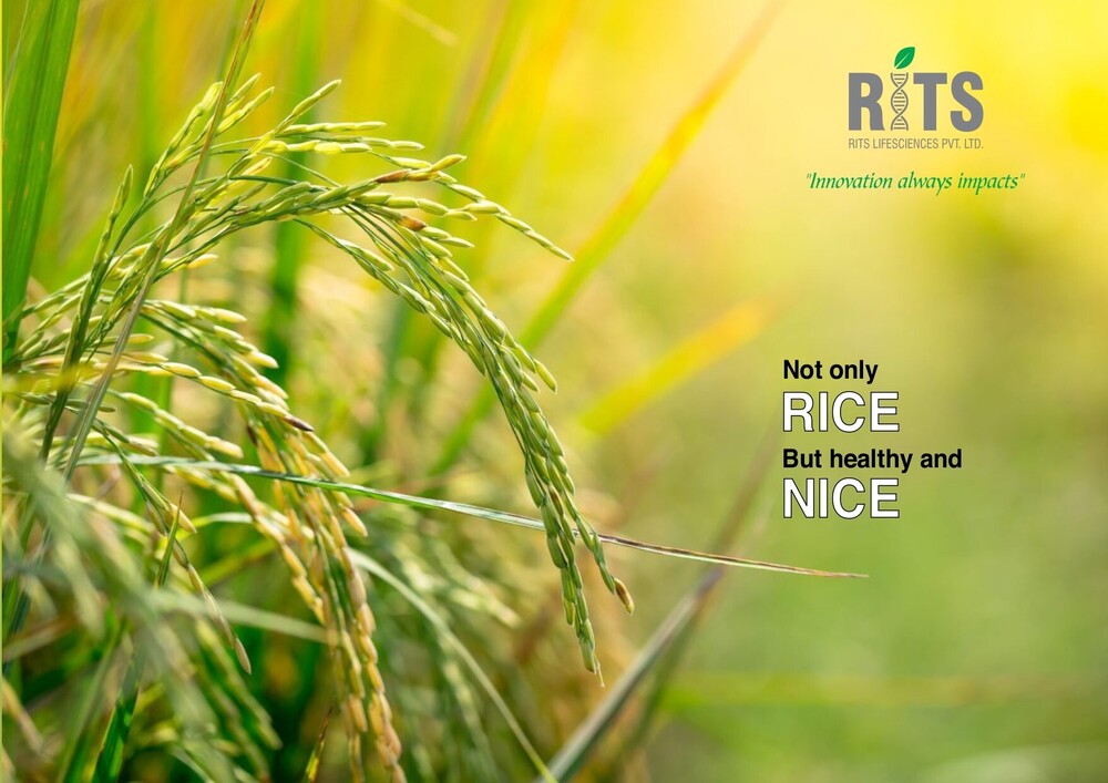 Rice Fortifications Premix
