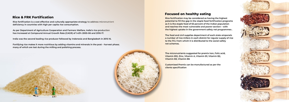 Rice Fortifications Premix - Dosage Form: Powder