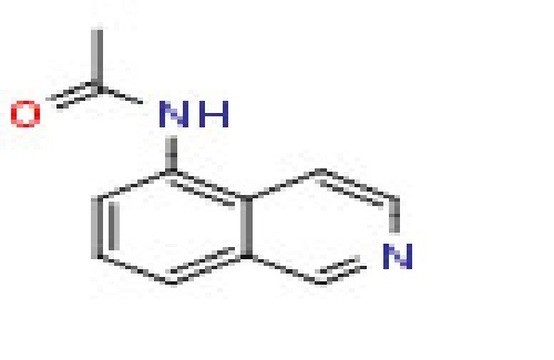 5- Acetamidoisoquinoline