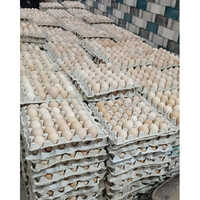 Sonali Egg