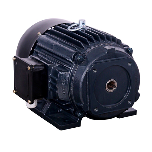 तीन चरण होलो शाफ्ट मोटर