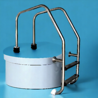 Swimming Pool Extra width with support Overflow Ladder