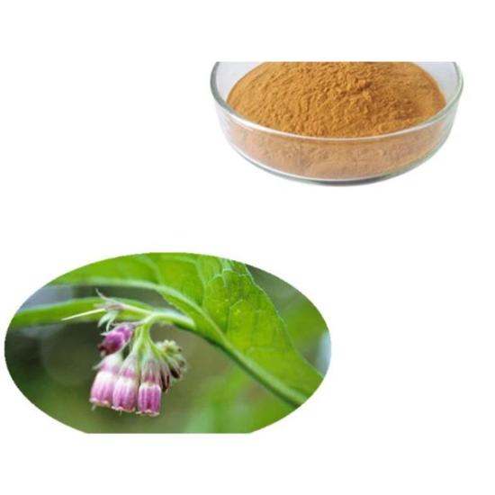 Comfrey  Extract (Symphytum officinale)