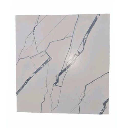 Square Glazed Vitrified Tiles - Color: White