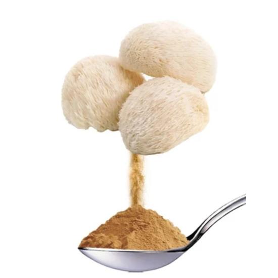 Lion's Mane Mushroom Extract (Hericium erinaceus)