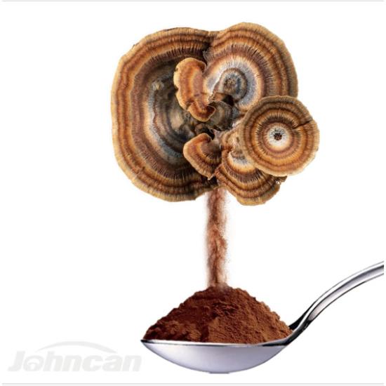 Turkey Tail Mushroom Extract (trametes Versicolor) - Grade: Pharma & Food Grade