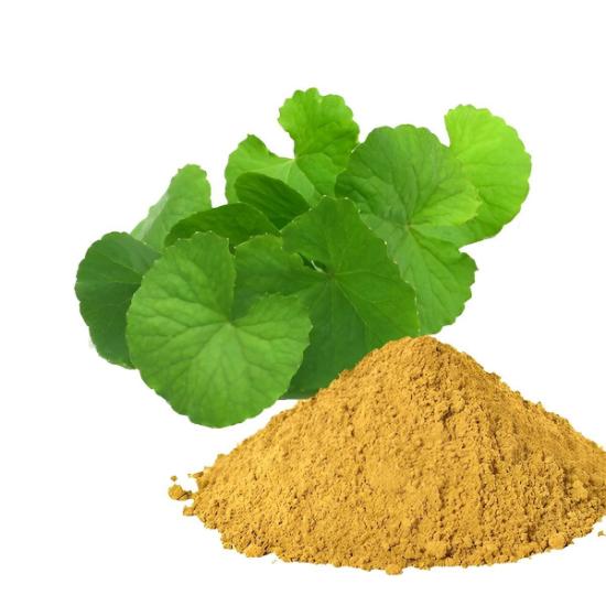 Brahmi Extract ( Bacopa Monnieri extract )