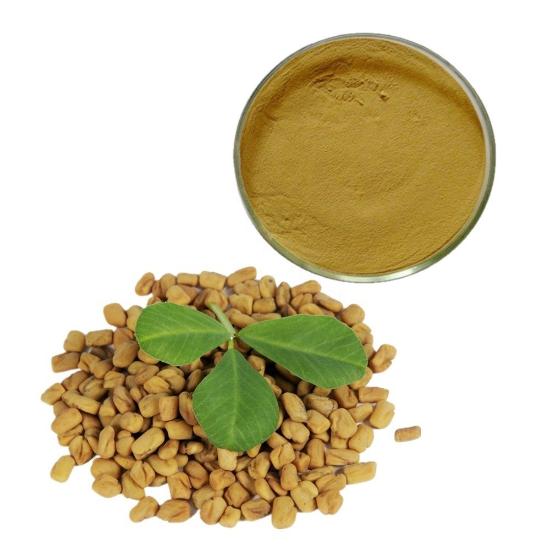 Fenugreek Extract ( Trigonella Foenum-Graecum)