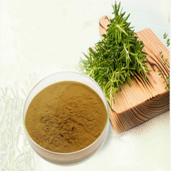 Rosemary Extract ( Rosmarinus Officinalis Extract )