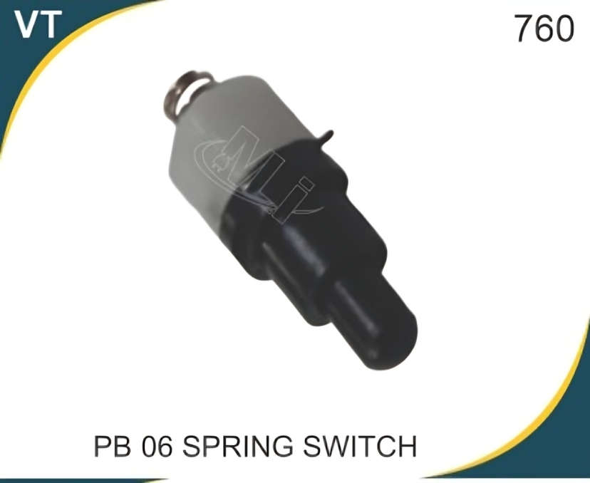 Spring Switch PB 06