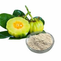 Garcinia Cambogia - 99% Pure Fruit Extract Powder, 60% HCA Content | Green Color, Bulk Packaging for Dietary Supplement Use