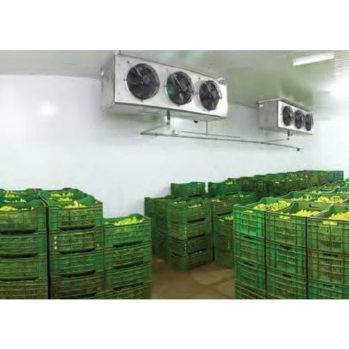 4 Ton Fruit Cold Storage Rooms - Color: White