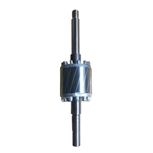 0.5Hp 40Clh4 Rotor With Shaft - Color: Silver