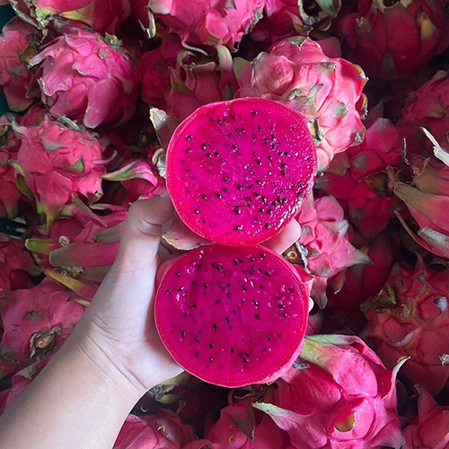 Fresh Dragon Fruit - Color: Pink